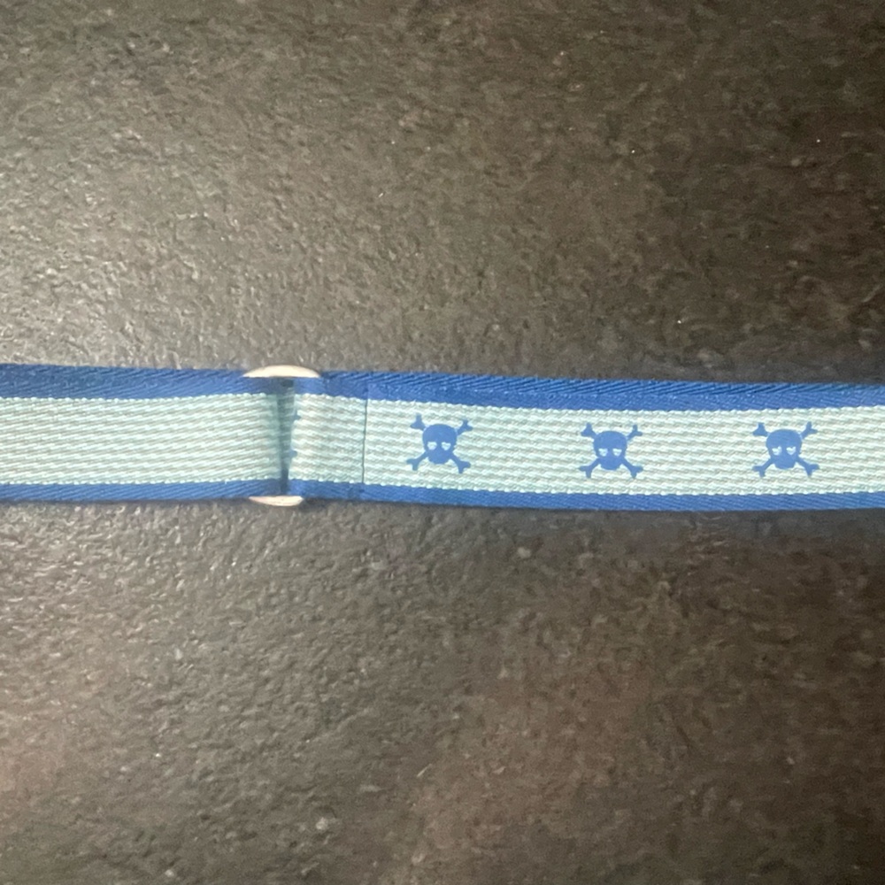 Pirate Belt